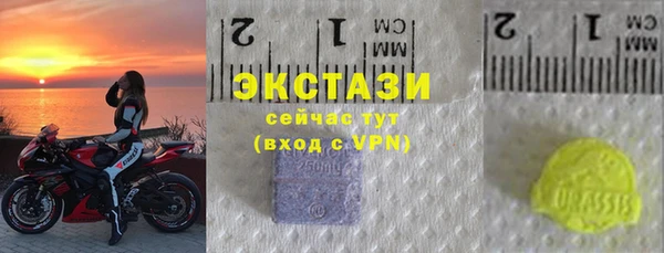 гидра Богданович