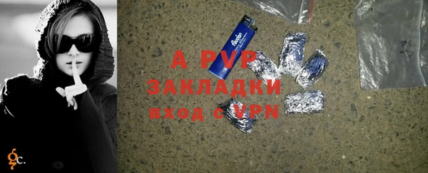 гидра Богданович